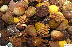 chocolade pralines